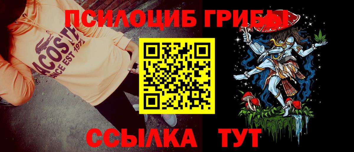Галлюциногенные грибы мухоморы Владивосток