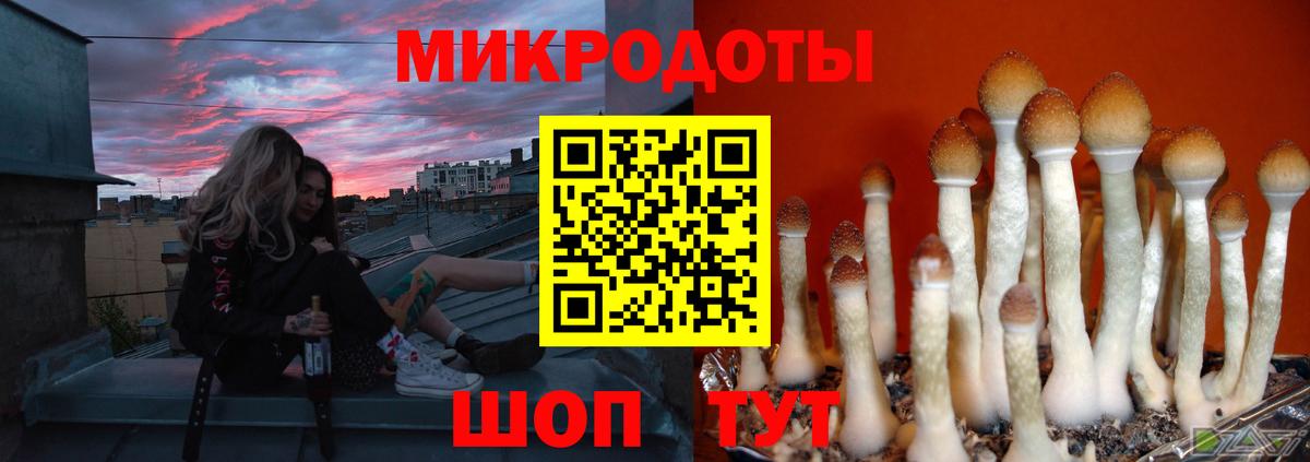 Владивосток  Галлюциногенные грибы Cubensis  Вход с VPN  Псилоцибиновые грибы прущие грибы 